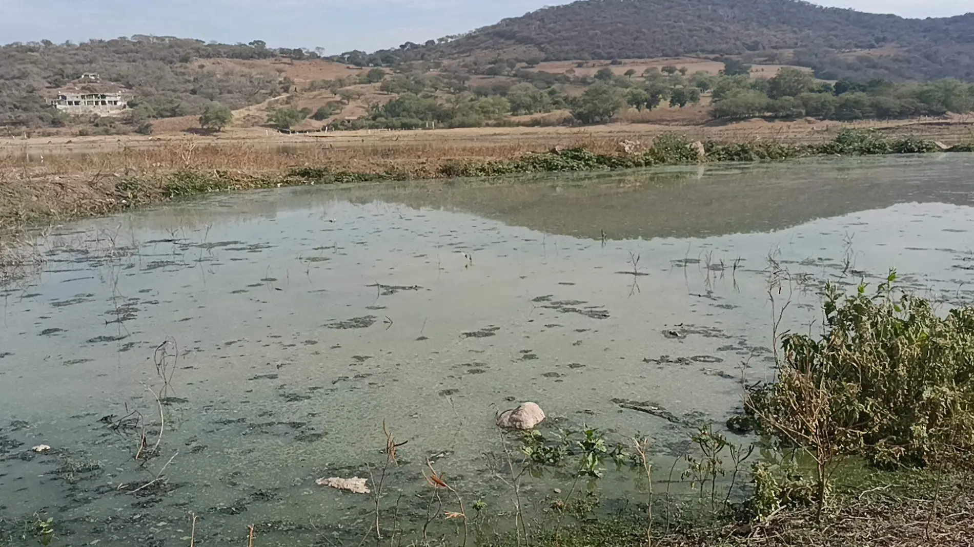 agua contaminada presa Emiliano Zapata